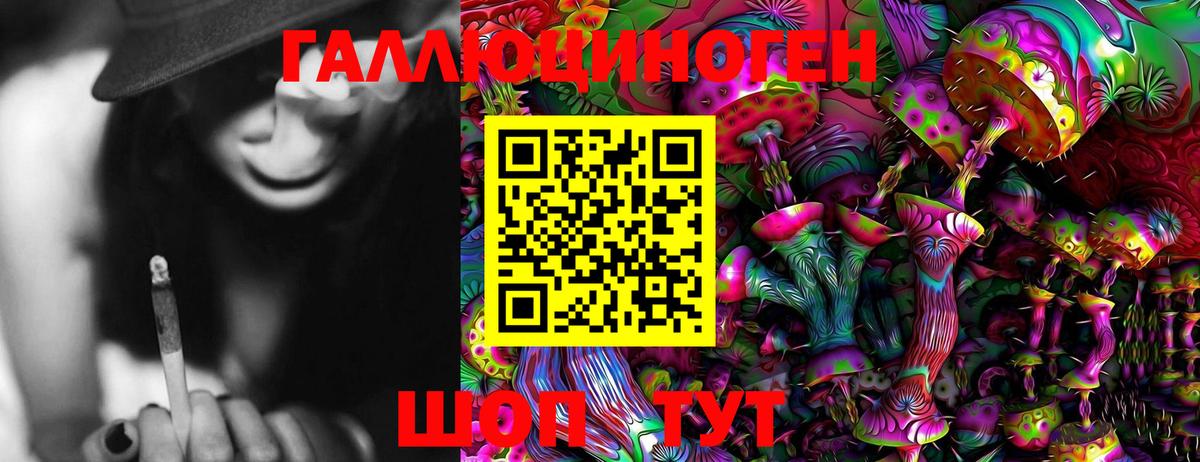 Псилоцибиновые грибы Magic Shrooms  купить   Биробиджан  Вход с VPN 