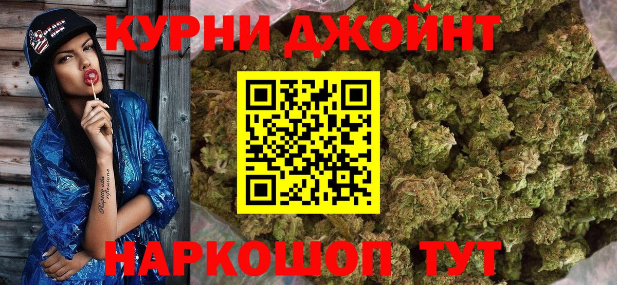 Конопля конопля  Канабис планчик  Конопля White Widow  Вход с VPN  Конопля планчик  Биробиджан 